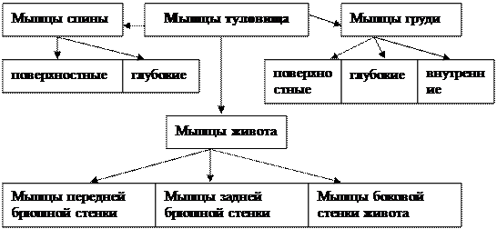 стр.68-88 - student2.ru