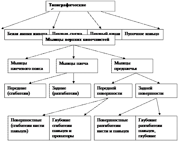 стр.68-88 - student2.ru