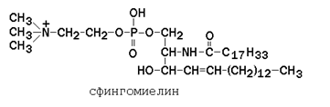 строение и функции биологических мембран. липиды биомембран. механизмы транспорта веществ через биомембраны - student2.ru