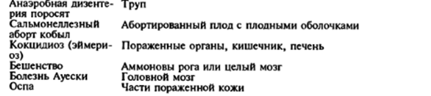 судебно-ветеринарная экспертиза трупа животного - student2.ru