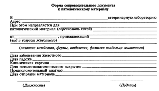 судебно-ветеринарная экспертиза трупа животного - student2.ru