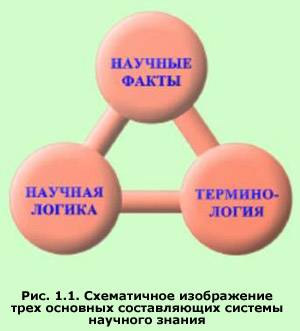 тема 1. антропология - наука о человеке - student2.ru