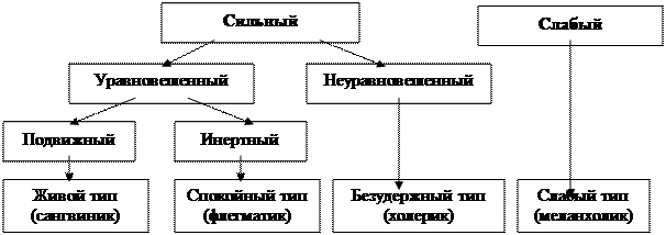 Типы высшей нервной деятельности - student2.ru