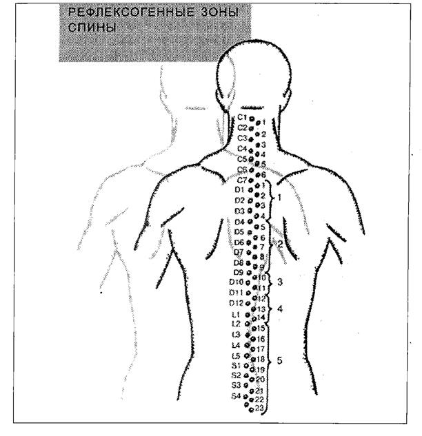 точечный массаж биологическиактивных точек спины - student2.ru