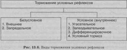 торможение условных рефлексов - student2.ru