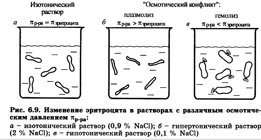 Учение о растворах. Основные типы химических равновесий и процессов в жизнедеятельности - student2.ru