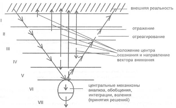 Уровень проекции абсолюта - student2.ru