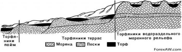 Условия происхождения ископаемых углей - student2.ru