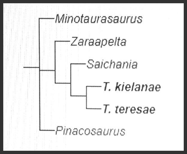 Tarchia is currently, with Saichania, among the geologically youngest known of all the Asian ankylosaurid dinosaurs. - student2.ru