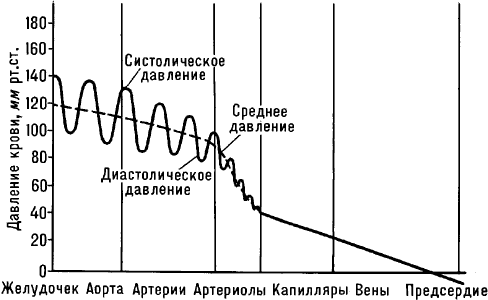 Виды кровяного давления. Кровяное давление в различных отделах системы кровообращения. Факторы, определяющие его величину. Методы исследования кровяного давления - student2.ru