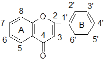 владикавказ 2012 - student2.ru