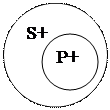 Все (некоторые) S есть (не есть) P - student2.ru