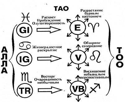 Высший инь:меридианы селезенки-поджелудочной железы и легких; точка соединения VC 12. - student2.ru