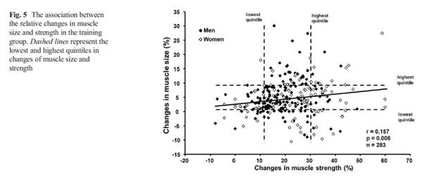 Взаимосвязь между ростом силы и объема мышц - student2.ru