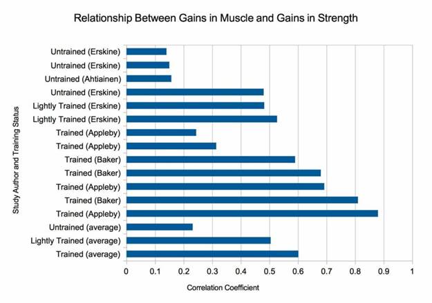 Взаимосвязь между ростом силы и объема мышц - student2.ru