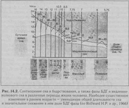 Ясельный период (от 1 года до 3 лет). - student2.ru