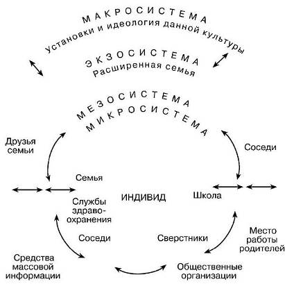 Экологическая модель развития - student2.ru