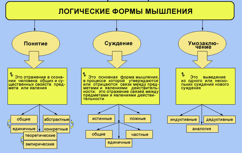 Структурно логическая схема мышления