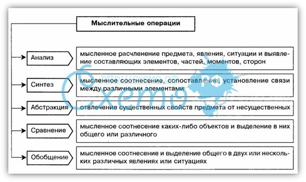 эмпирические характеристики мышления - student2.ru