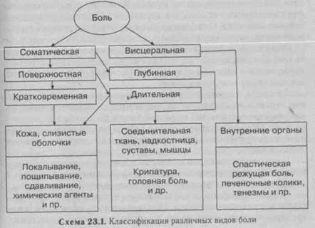 Энергозатраты во время занятий оздоровительной физкультурой - student2.ru