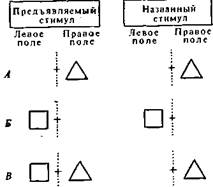 Заикание; доводы в пользу конкуренции за управление речью - student2.ru