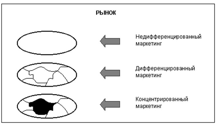 Переменные сегментации по стилю жизни - student2.ru