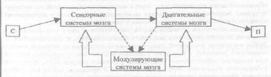 теоретические основания дрессировки - student2.ru