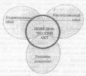 формы поведения:врожденное, приобретенное, когнитивное - student2.ru