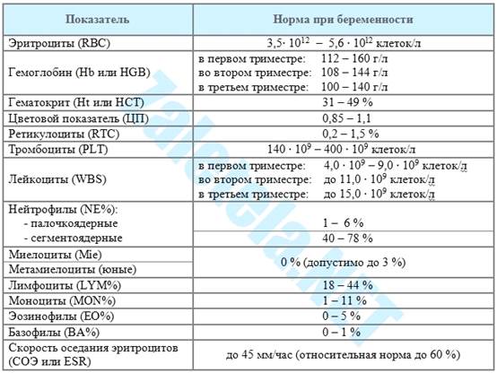 анализ крови,анализ мочи - student2.ru