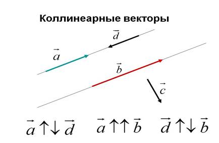 Два отличных от нуля вектора, которые находятся на одной прямой или параллельных прямых, называются коллинеарными векторами - student2.ru