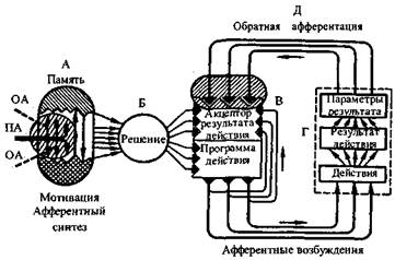 Физиологическая характеристикадеятельности оператора - student2.ru