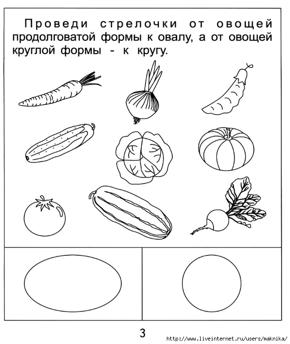 геометрия и окружающий мир - student2.ru