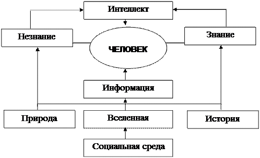 Интеллект как элемент системы управления организацией - student2.ru