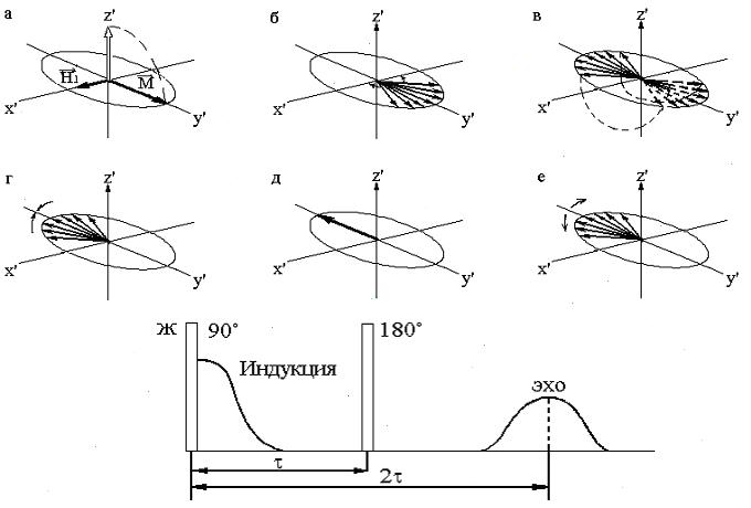 Измерение времени Т2 методом спинового эхо - student2.ru