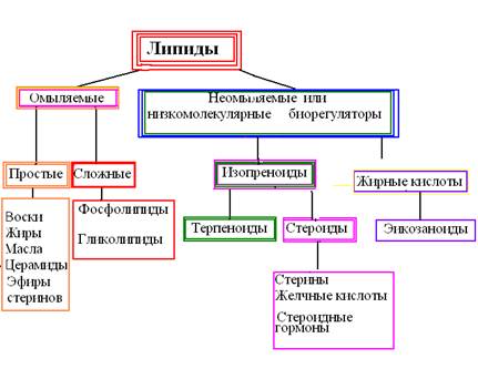 Характеристика жирных кислот, входящих в состав омыляемых липидов - student2.ru