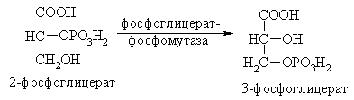 Классификация и номенклатура ферментов - student2.ru