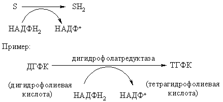 Классификация и номенклатура ферментов - student2.ru