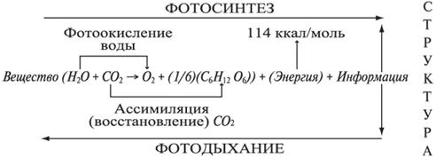 Лекция: Функционирование и развитие системы - student2.ru