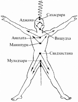 Люди, направляемые энергоинформационными паразитами, — лидеры? - student2.ru