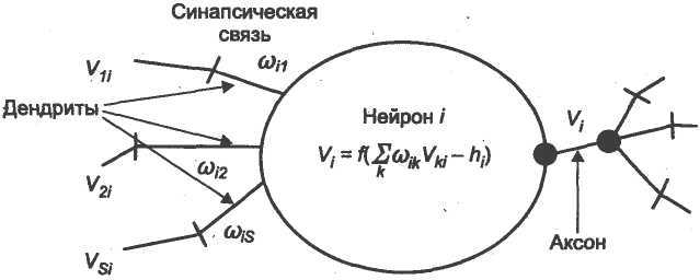 Математическая модель нейрона - student2.ru