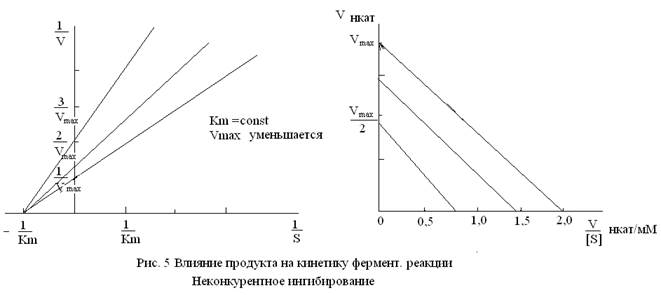 Механизмы взаимодействия эффекторов с ферментами. - student2.ru