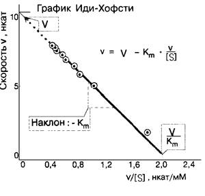 Механизмы взаимодействия эффекторов с ферментами. - student2.ru