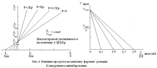 Механизмы взаимодействия эффекторов с ферментами. - student2.ru