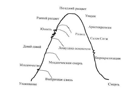 Модель жизненного цикла организации И. Адизеса - student2.ru