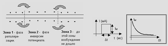 Молекулярная физика и термодинамика - student2.ru
