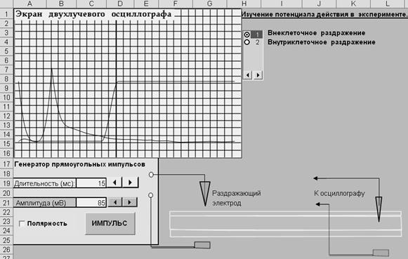Молекулярная физика и термодинамика - student2.ru