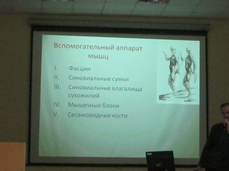 Myologia - Учение о мышцах - student2.ru