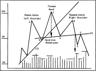 Некоторые положения, общие для всех ценовых моделей перелома - student2.ru