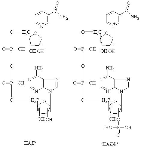 Никотинамидные коферменты. - student2.ru