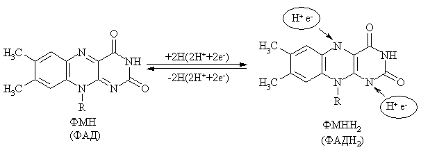 Никотинамидные коферменты. - student2.ru